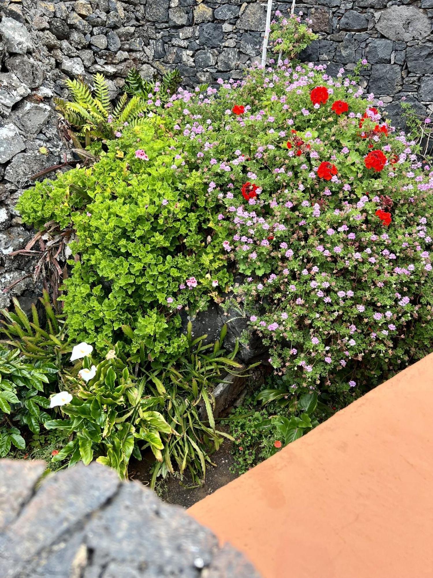 Cozy Rural House Las Guindas, El Hierro Erese Екстер'єр фото